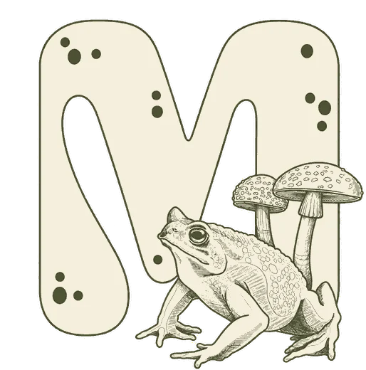 Micromanadas
