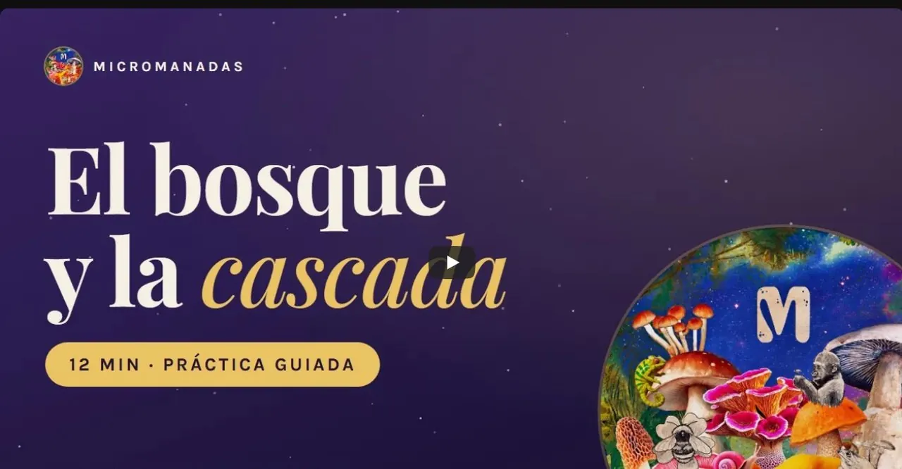 Portada de la práctica guiada El bosque y la cascada